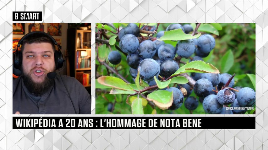 L'interview : Nota Bene (Youtubeur)