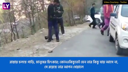 Young Leopard Strolls On Highway: পর্যটকদের সঙ্গে খেলায় মত্ত \'বাচ্চা\' লেপার্ড, দেখুন ভাইরাল ভিডিও