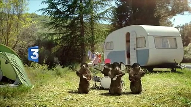 Marmottes FR3 - Compilations musique