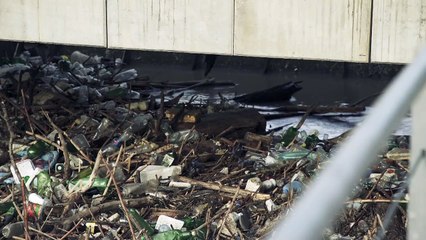 En Bulgarie, une île flottante de déchets sur la rivière Iskar