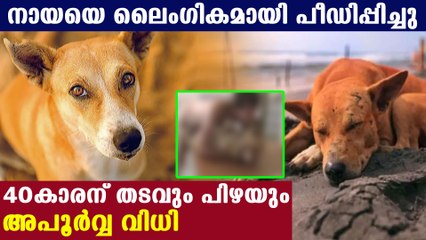 നായയ്ക്ക് ഭക്ഷണം നല്‍കുന്ന കുട്ടികളാണ് പ്രതിയെ പിടികൂടിയത് | Oneindia Malayalam
