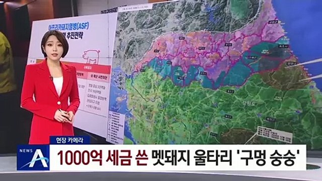 [현장 카메라]1000억 세금 쓴 멧돼지 울타리 ‘구멍 숭숭’