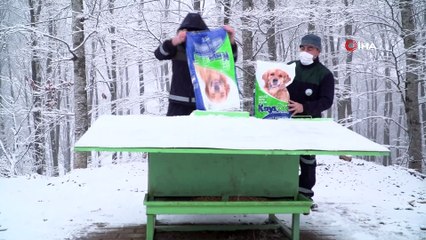 Yavru köpekler donmaktan kurtarıldı