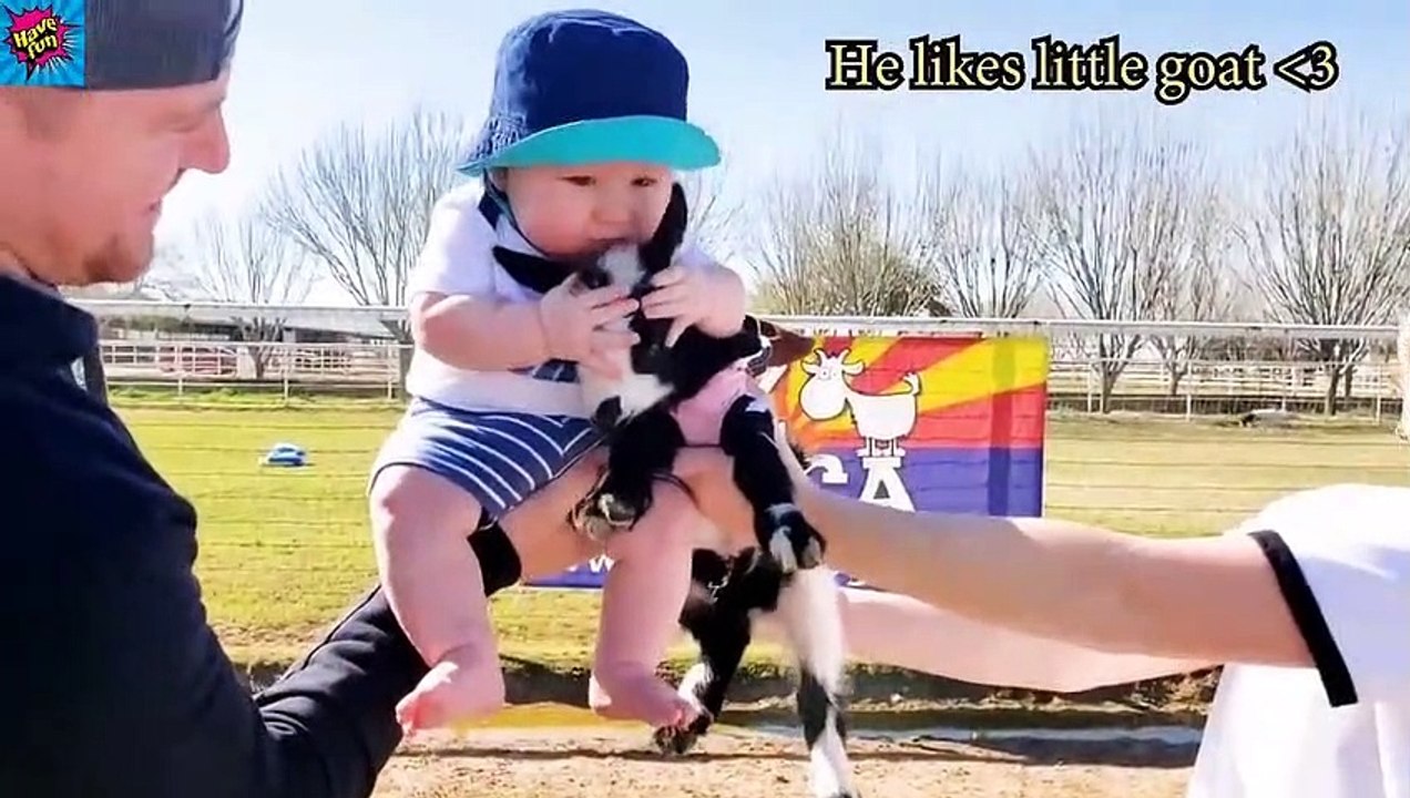 Funny Animals Reaction - Try Not To Laugh Beautiful Girl with Octopus -[have fun with us]