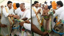 Ys Jagan Go Puja : గోపూజ మహోత్సవంలో పాల్గొన్న జగన్!!