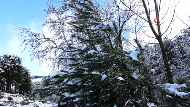 - Bergama'da uzun bir süre sonra kar sevinci- Kozak Yaylası beyaza büründü, çocuklar karın keyfini çıkardı