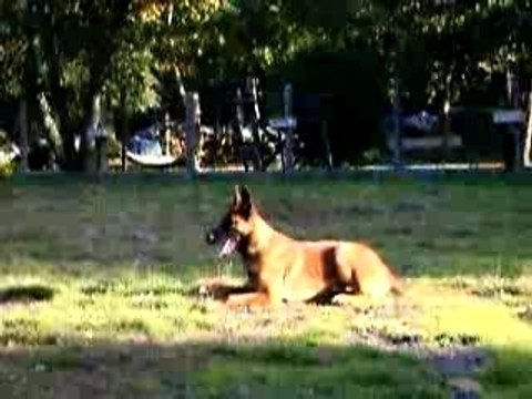 Vidéo CRACK exc coucher avec rappel 29 oct SITE