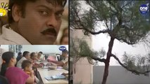 Hyderabad : Stolen Bonsai Tree Recovered, Thieves Arrested