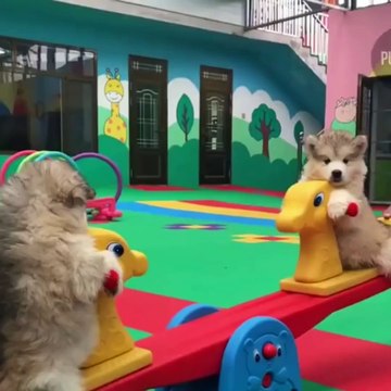 Cute baby animals Videos Compilation cutest moment of the animals Cutest Puppies