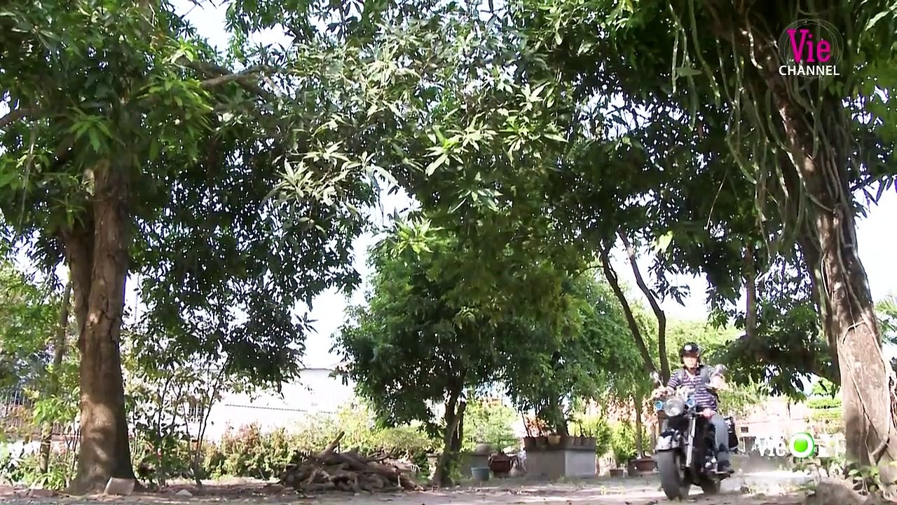 Tập 18 - Bản Năng Yêu _ Phim Việt Nam 2020 Ngọc Diệp - Bình Minh - Hà Trí Quang