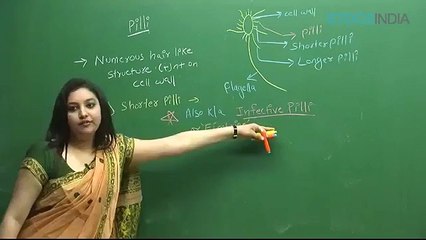 Biological Clasification by sb mam_2 Biological classification sb mam part 5