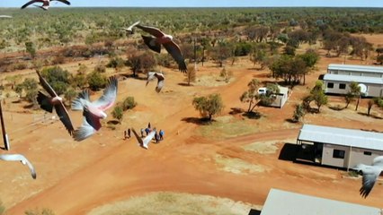Property near Tennant Creek approved as backup quarantine centre