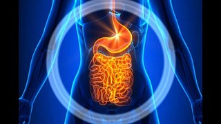 Anti–PD-1 Therapy Dostarlimab for dMMR/MSI-H Gastrointestinal Cancers: Safety and Efficacy Examined