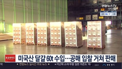 미국산 달걀 60t 수입…공매 입찰 거쳐 판매