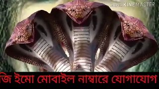 Noyon_moni_tantrik_kobiraj_০১৮৩৫০০৯৫০৬