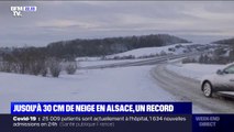 Très fortes chutes de neige en Alsace: jusqu'à 30 cm par endroits
