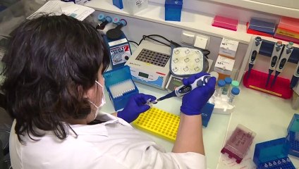 Mais de dois milhões de mortes por Covid-19