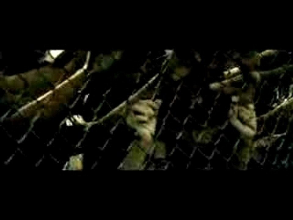 Wyclef Jean Akon, Lil Wayne, and Niia  Sweetest Girl