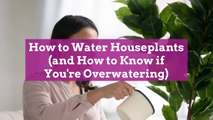 How to Water Houseplants (and How to Know if You're Overwatering)