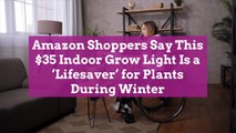 Amazon Shoppers Say This $35 Indoor Grow Light Is a ‘Lifesaver’ for Plants During Winter