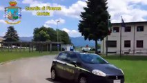 Gorizia - Stroncato traffico illegale di razze pregiate di cuccioli di cane (15.01.21)