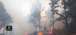 tn7-Este-viernes-inicia-la-temporada-de-incendios-forestales-2021,-según-SINAC-150121