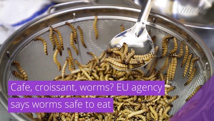 Cafe, croissant, worms? EU agency says worms safe to eat, and other top stories in strange news from January 16, 2021.