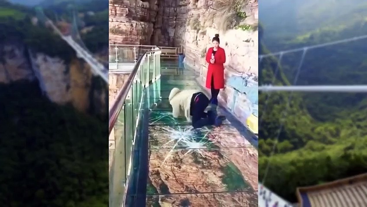 China Glass Bridge - Crack Effect - video Dailymotion