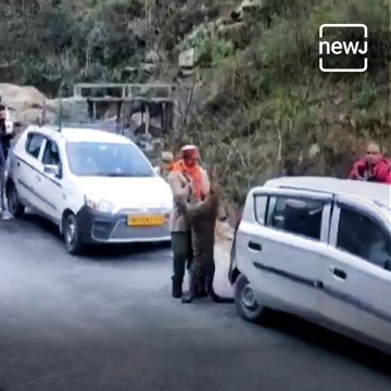 Viral Video Of Leopard Playfully Interacting With A Crowd In Himachal