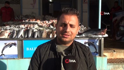 Tezgahta köpekbalığını görenler şaştı kaldı