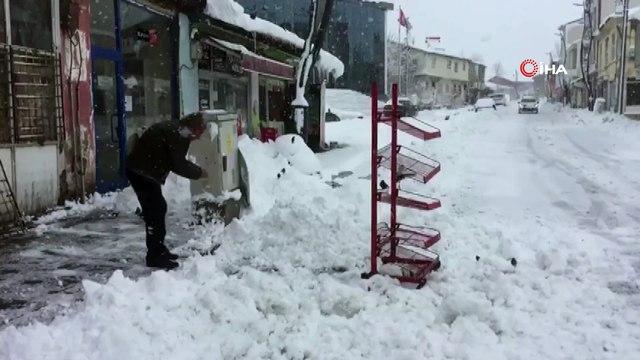 Bingöl'de 115 köy yolu kapandı, Karlıova kara gömüldü
