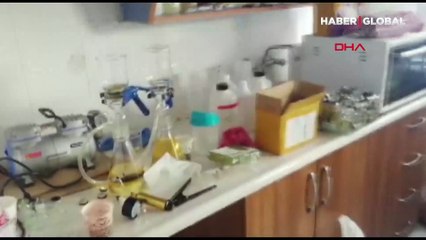 Kedi maması ambalajında 'vücut geliştirme hapı hammaddesi' kaçakçılığı!