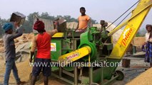 Mechanised harvesting for rice paddy in India