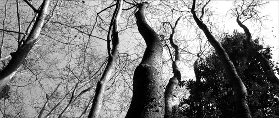 Λευτέρης Πανταζής - Πως Περάσανε Τα Χρόνια (Official Music Video)