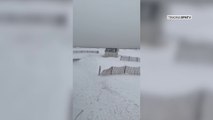 La plage du Touquet recouverte d'une fine couche de neige ce samedi matin