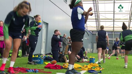 Doyle Delighted To Be Back With Ireland