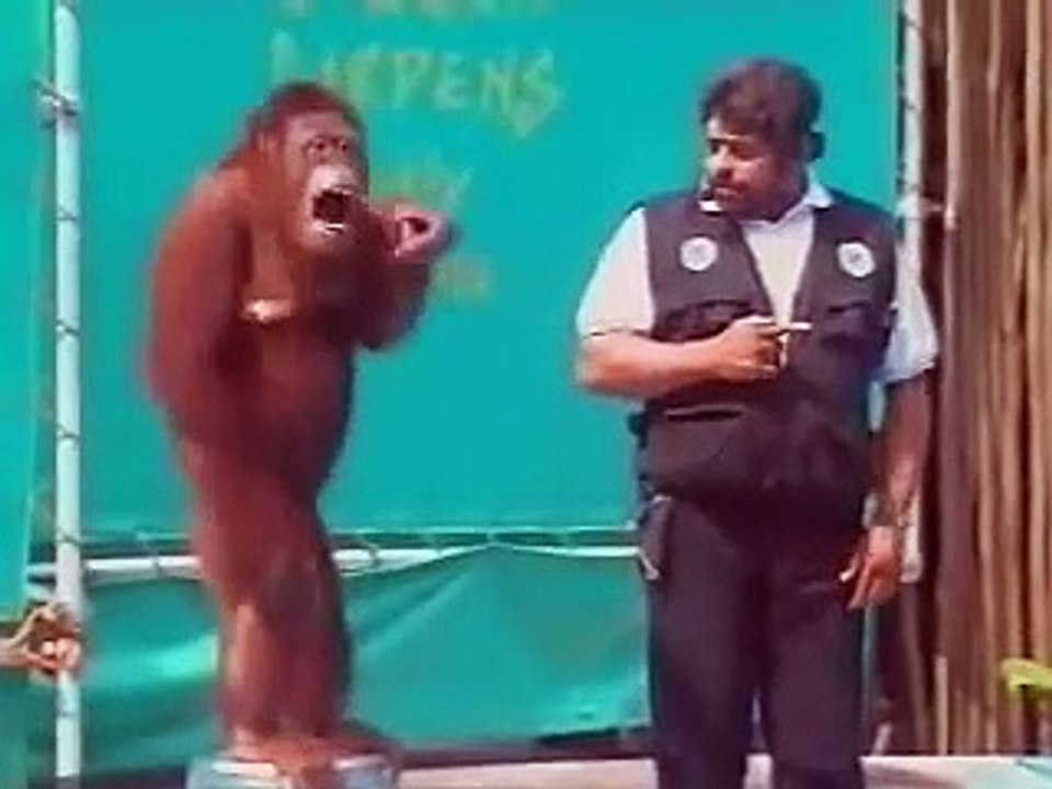Funny shorts || Best shorts || Very Funny Video 2021