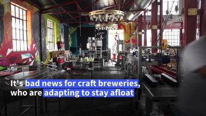 Craft breweries adapt to survive South Africa's third alcohol ban