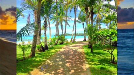 10 Lugares Sorprendentes de Republica Dominicana que Deberías Conocer | Yohan Cala