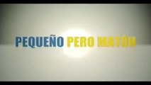PEQUENO PERO MATON (2005) Trailer - SPANISH