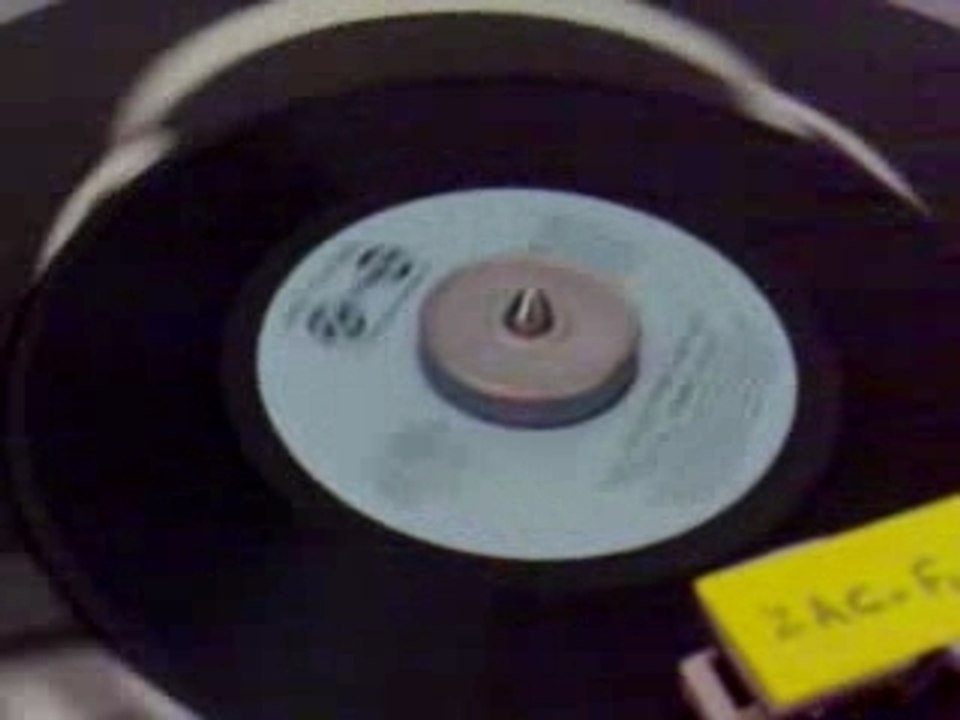 TERRY BEAR - THE NIGHT FOR DANCING