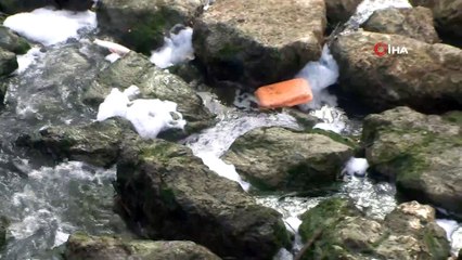 Tarsus'ta çayda binlerce balık telef oldu