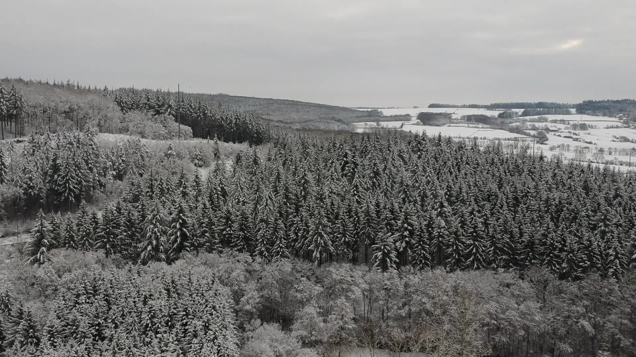 La neige dans la province du Luxembourg et à Namur
