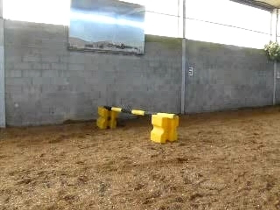 23.02.08 007
