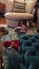 Goofy Rescue Dog Playing With His Tail