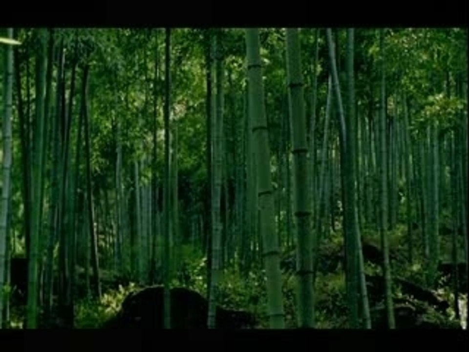 Zhong Guo Hua 中國話 S.H.E.