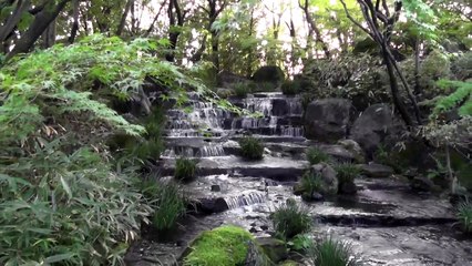 jardin japonais himeji cascade