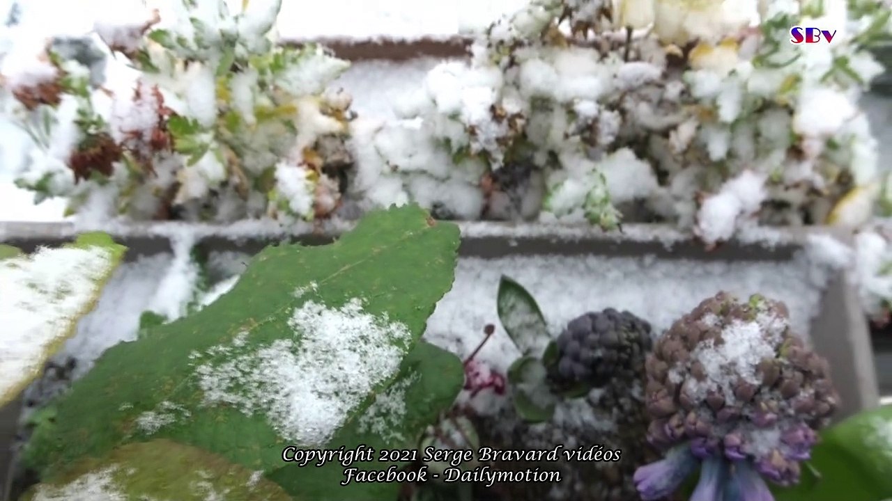 Il neige sur Paname...