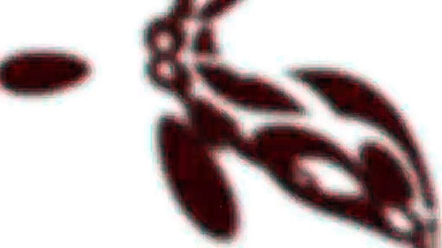 Cuando la confianza te juega una mala pasada