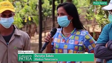 Download Video: Cultivando Patria 17ENE2021 | Potencialidades agrícolas, pecuarias y del mar en Nva. Esparta